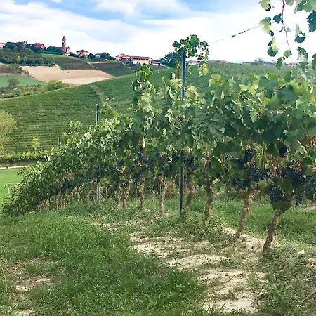 Casa Frutteto - Indipendente Con Giardino Recintato * Montegrosso dʼAsti